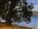 Иванов А.А. Дерево в тени над водой. Не ранее 1846. 